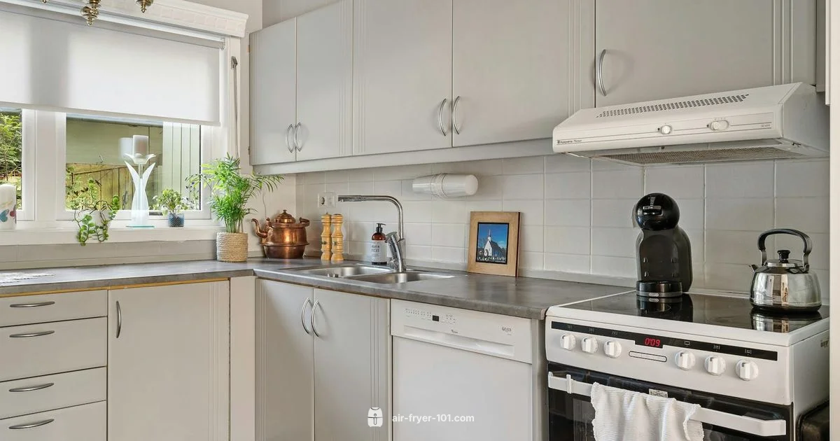 Healthy Air Fryer Dinners - Air Fryer 101