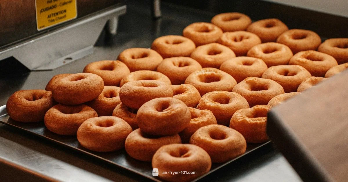 Air Fryer Tray Insertion - Air Fryer 101