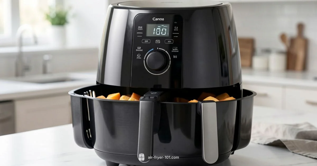 Dual Basket Guide - Air Fryer 101