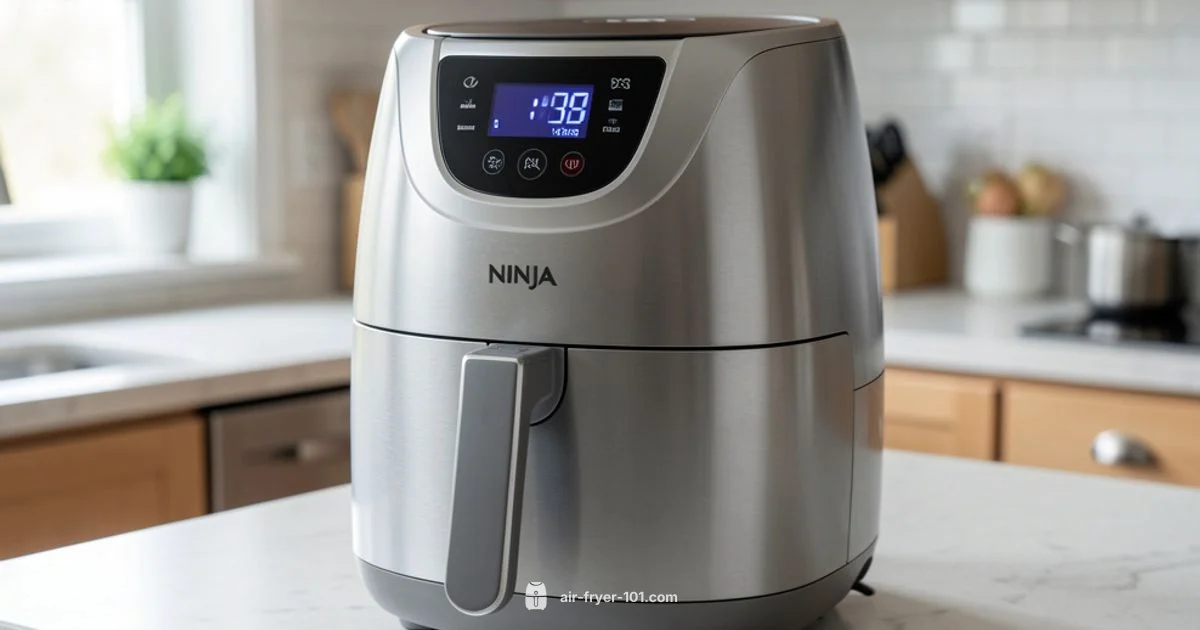 Ninja Mini Air Fryer - Air Fryer 101