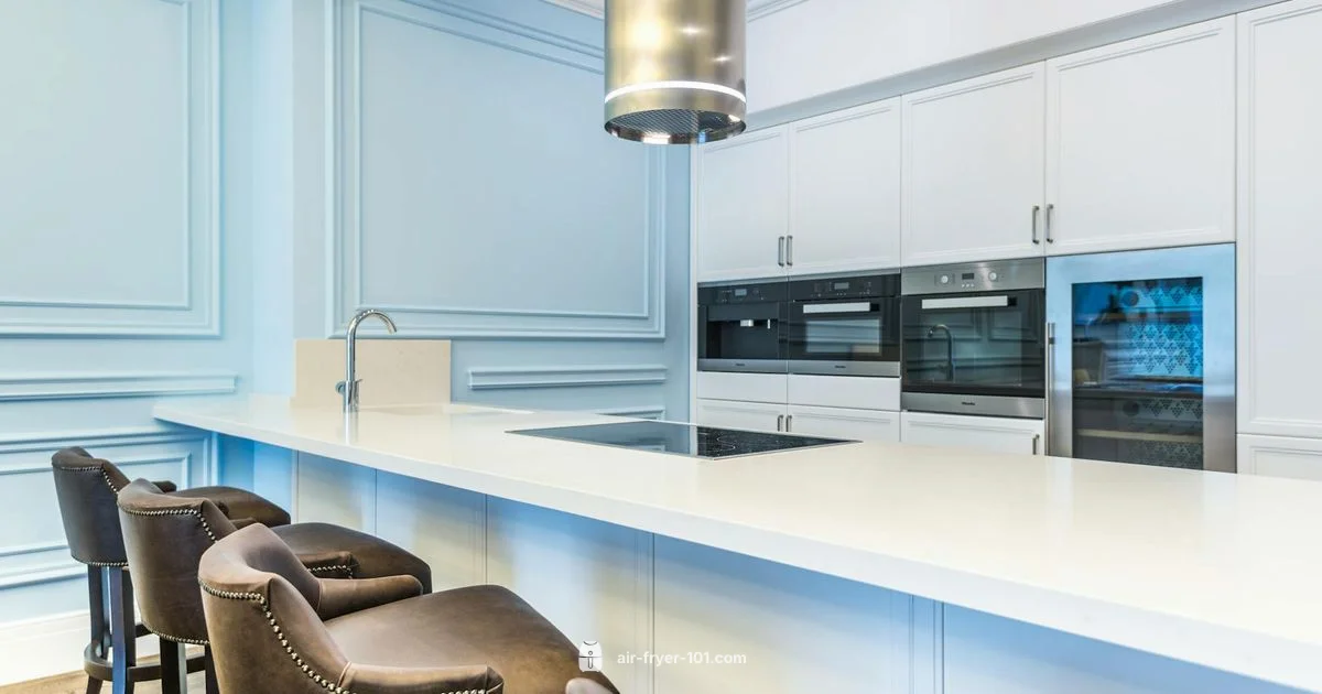 8L Capacity Fryer - Air Fryer 101