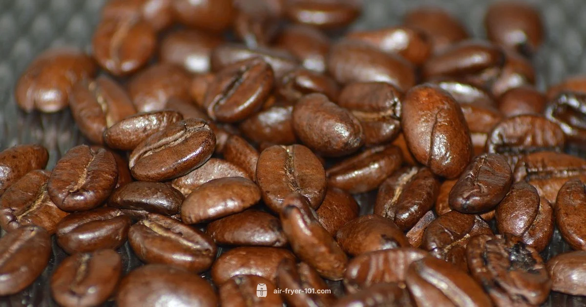 Top Air Fryers 2026 - Air Fryer 101