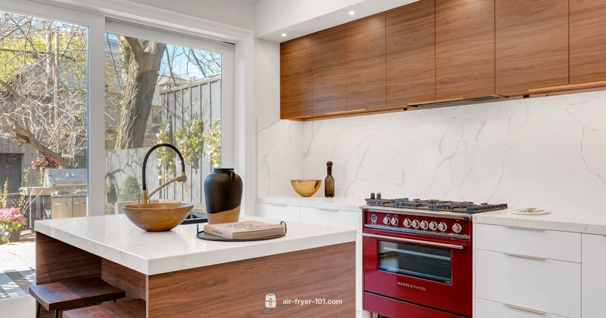 Air Fryer vs Convection - Air Fryer 101