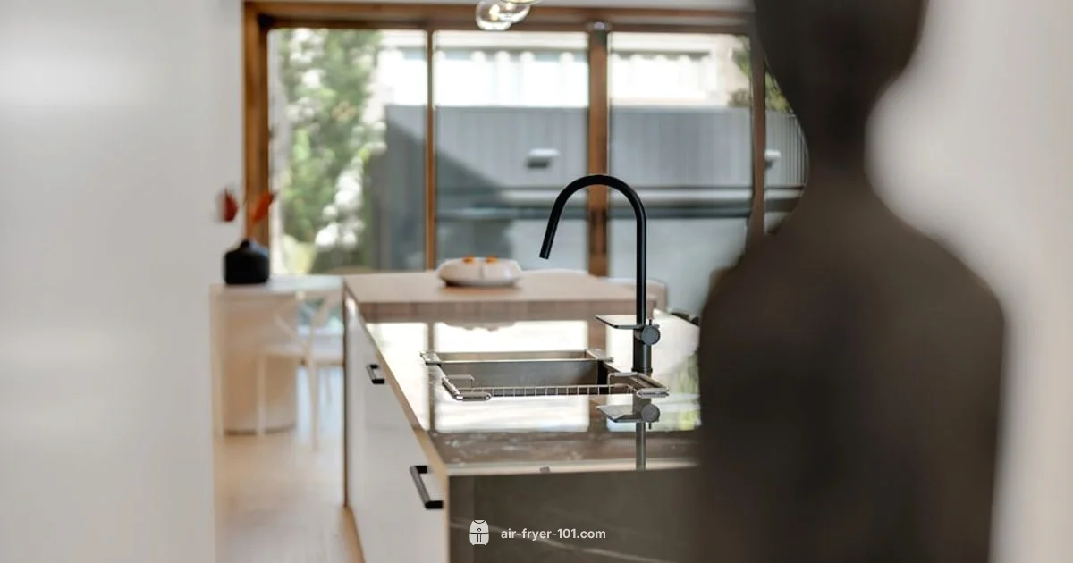 Air Fryer vs Convection - Air Fryer 101