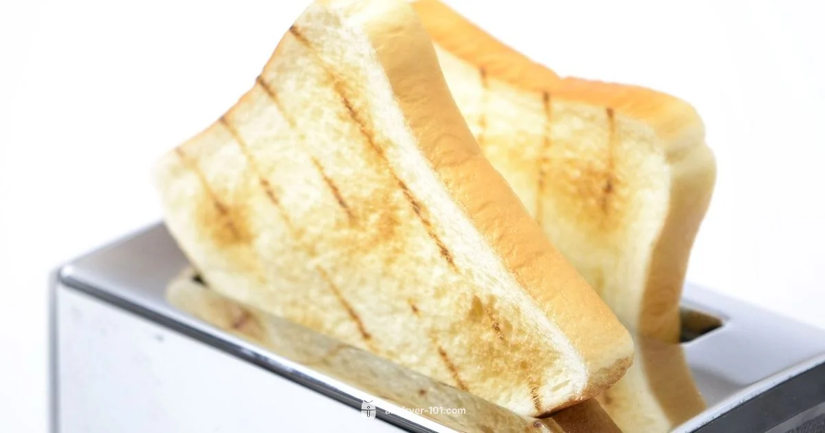 Air Fryer vs Toaster Oven - Air Fryer 101