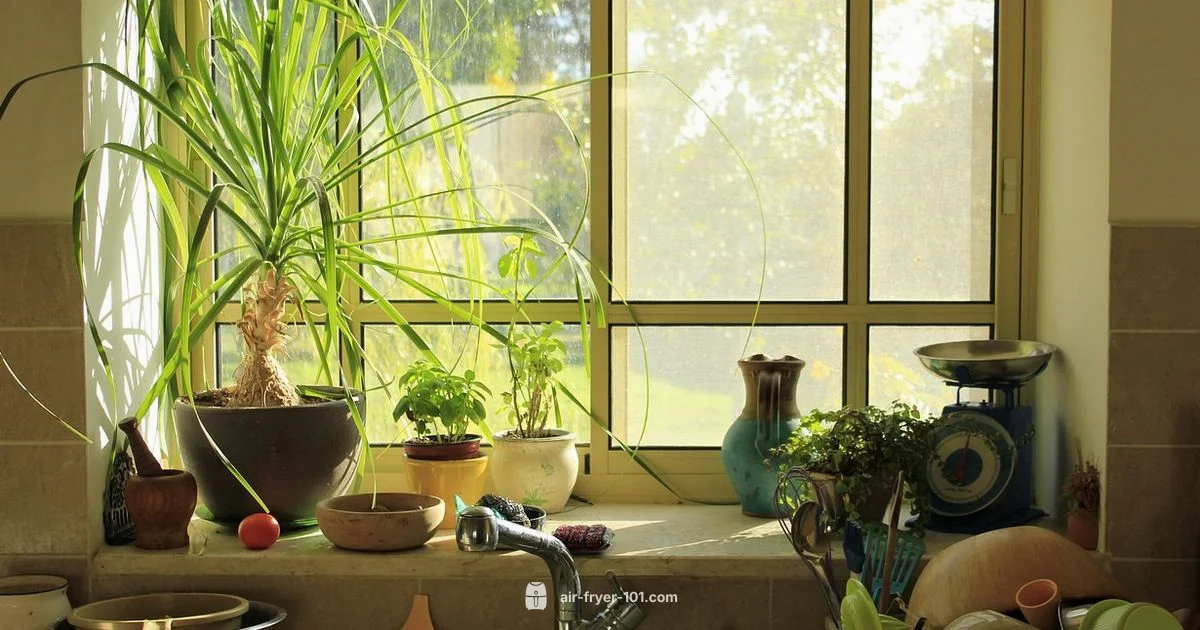 Power XL vs Ninja - Air Fryer 101