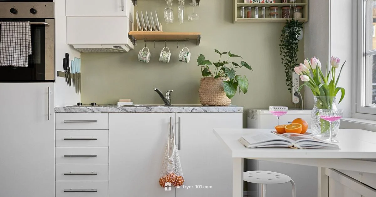 Ninja Air Fryer Review - Air Fryer 101