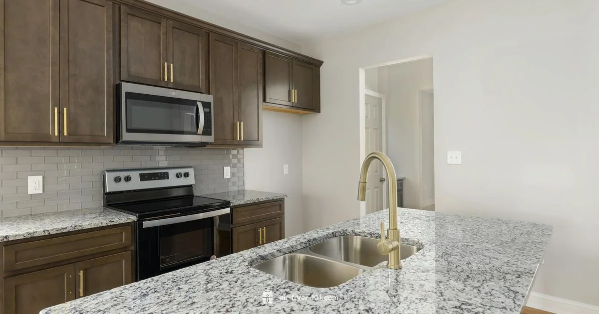 Healthy Frying Redefined - Air Fryer 101