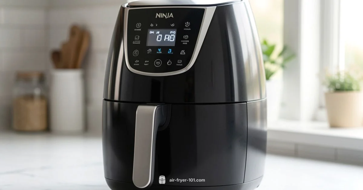 Large Ninja Air Fryer - Air Fryer 101