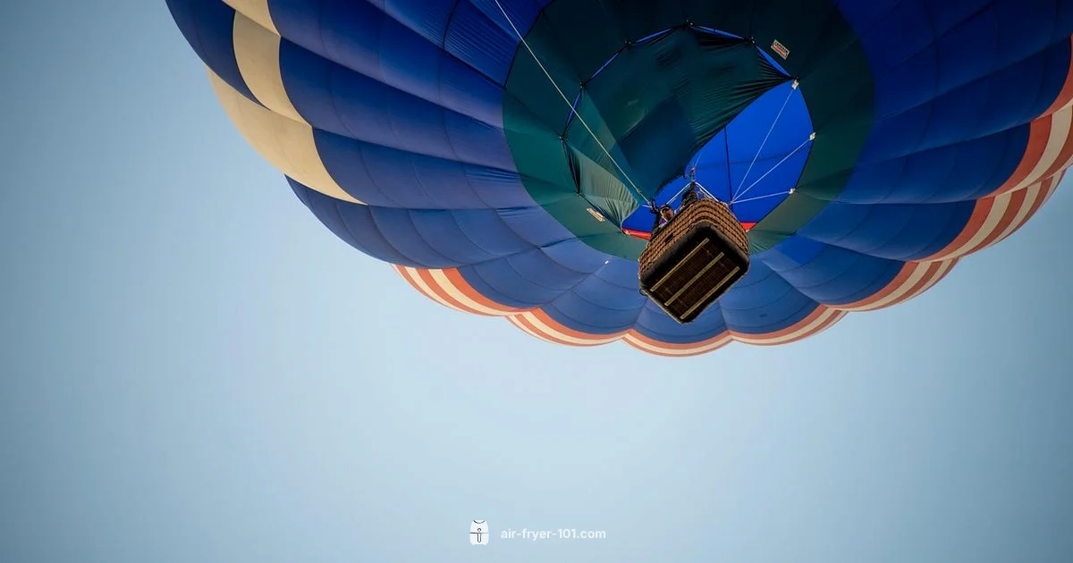 Travel with Air Fryer - Air Fryer 101