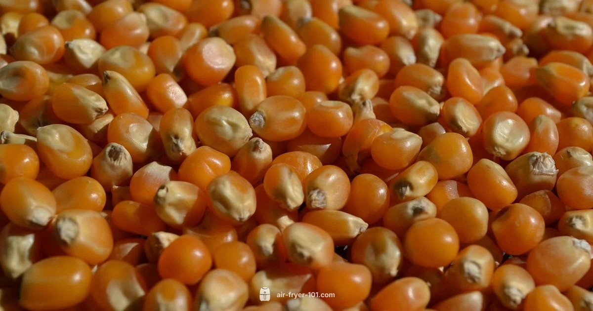 Air Fryer Popcorn - Air Fryer 101