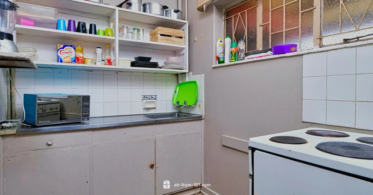 Ninja Toaster Oven - Air Fryer 101