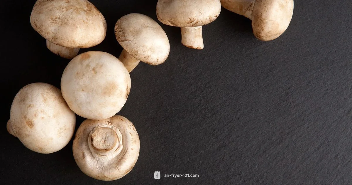 Air Fryer Types in 2026 - Air Fryer 101