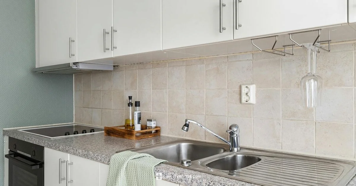 Ninja Foodi Review - Air Fryer 101