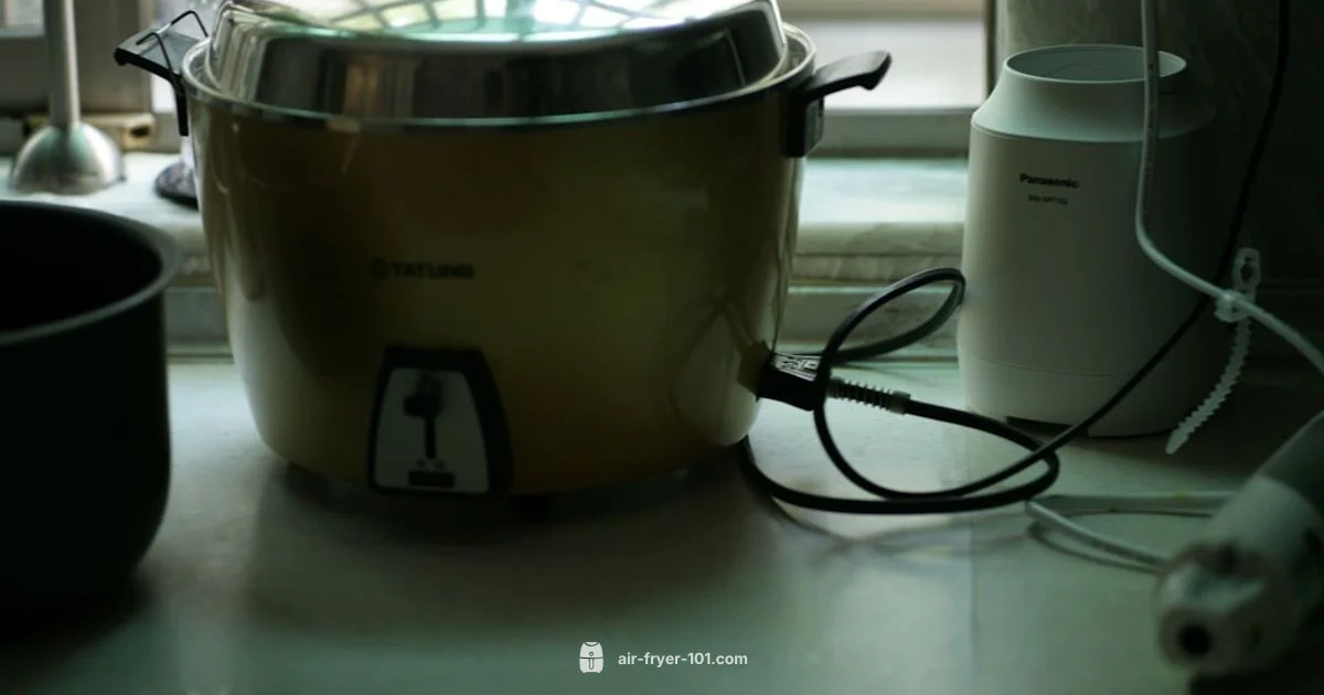 Air Fryer vs Instant Pot - Air Fryer 101