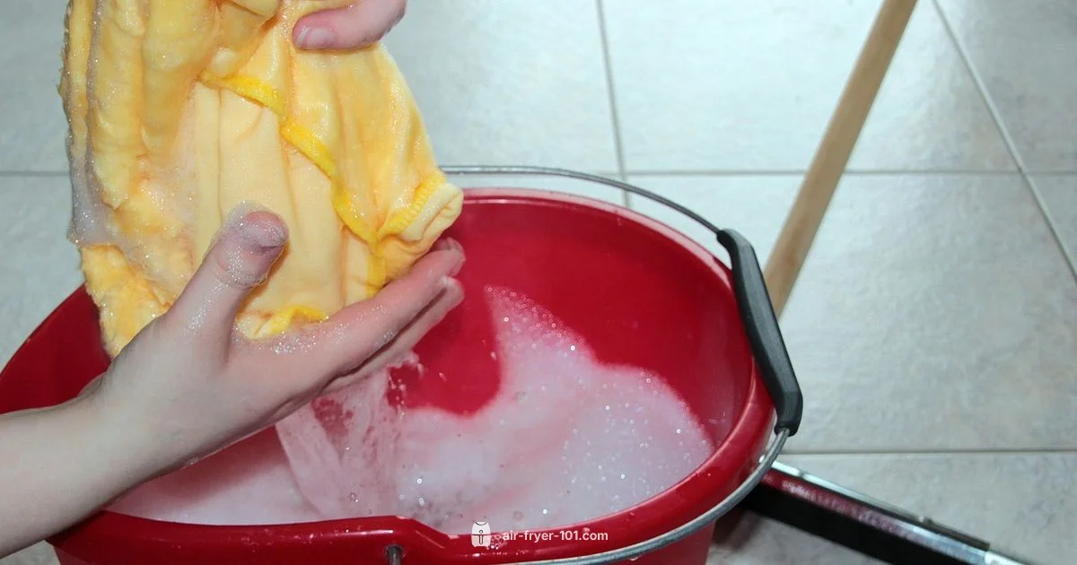 Clean Air Fryer Guide - Air Fryer 101