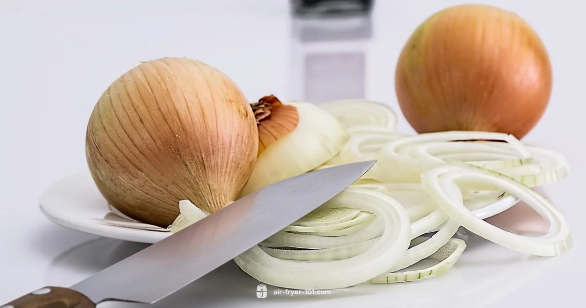 Lifespan Insights - Air Fryer 101