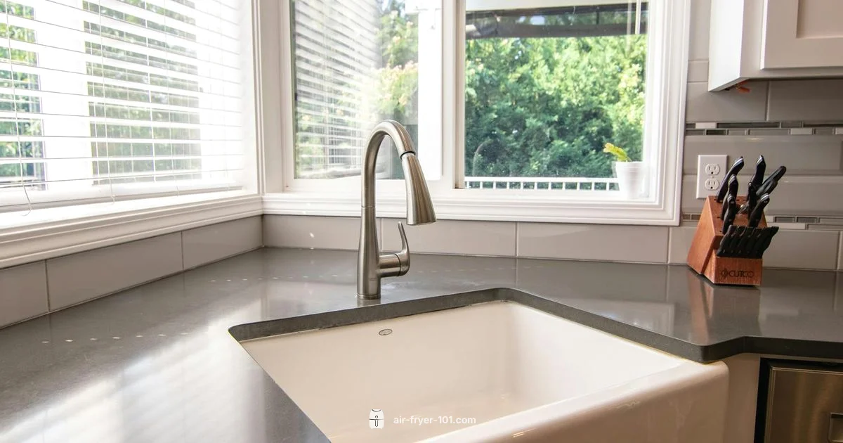 Air Fryer Basics - Air Fryer 101