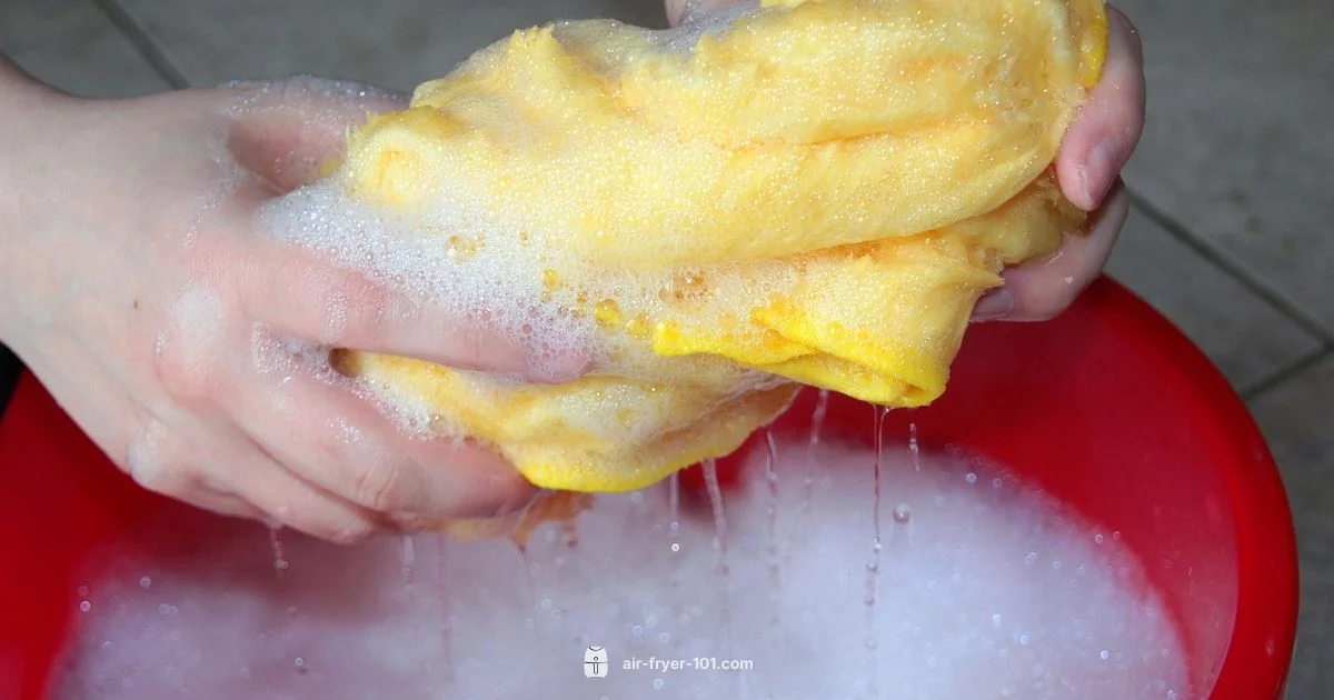 Air Fryer Cleaning - Air Fryer 101