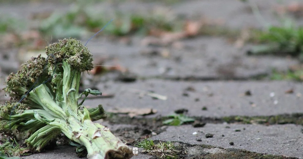 Reheat Guide - Air Fryer 101