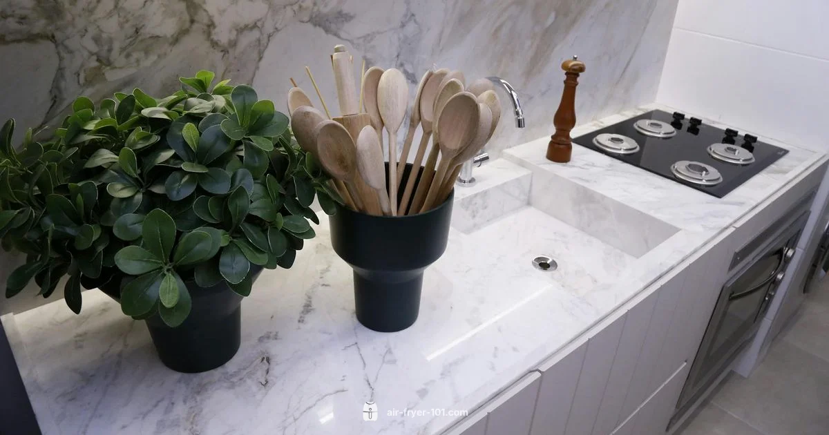 Blackstone Air Fryer Review - Air Fryer 101