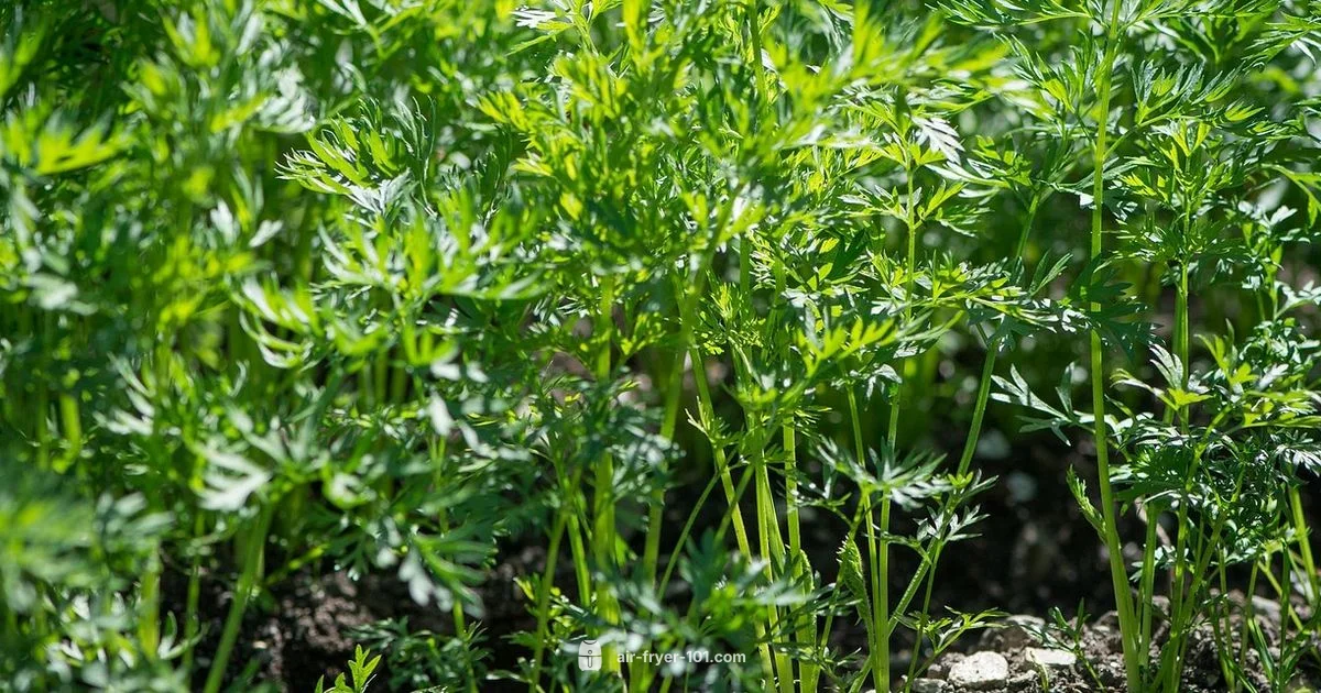 Crispy Air-Fried Carrots - Air Fryer 101