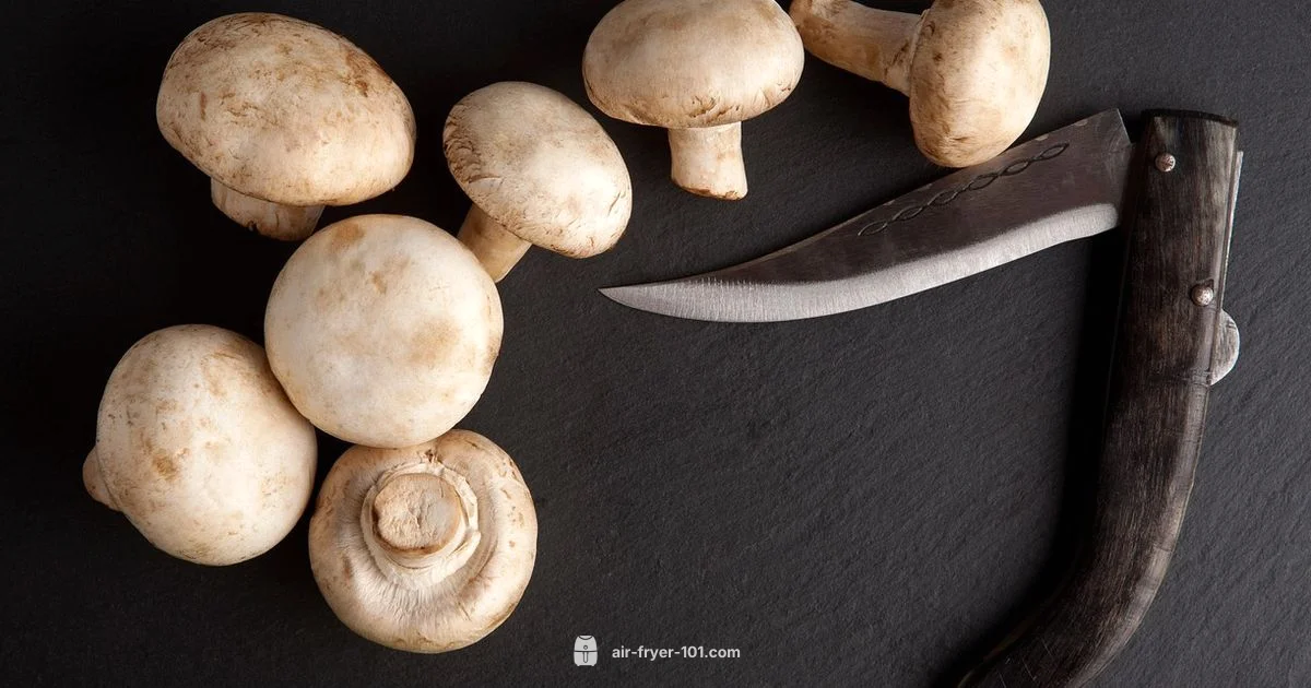 Emeril vs Breville - Air Fryer 101