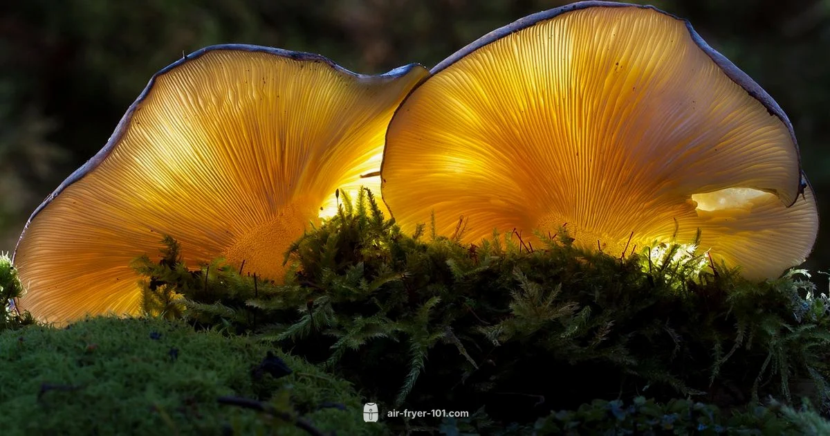 Crispy Mushrooms - Air Fryer 101