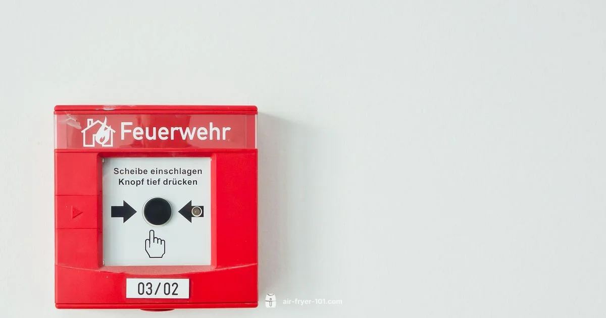 Air Fryer Alarm Safety - Air Fryer 101