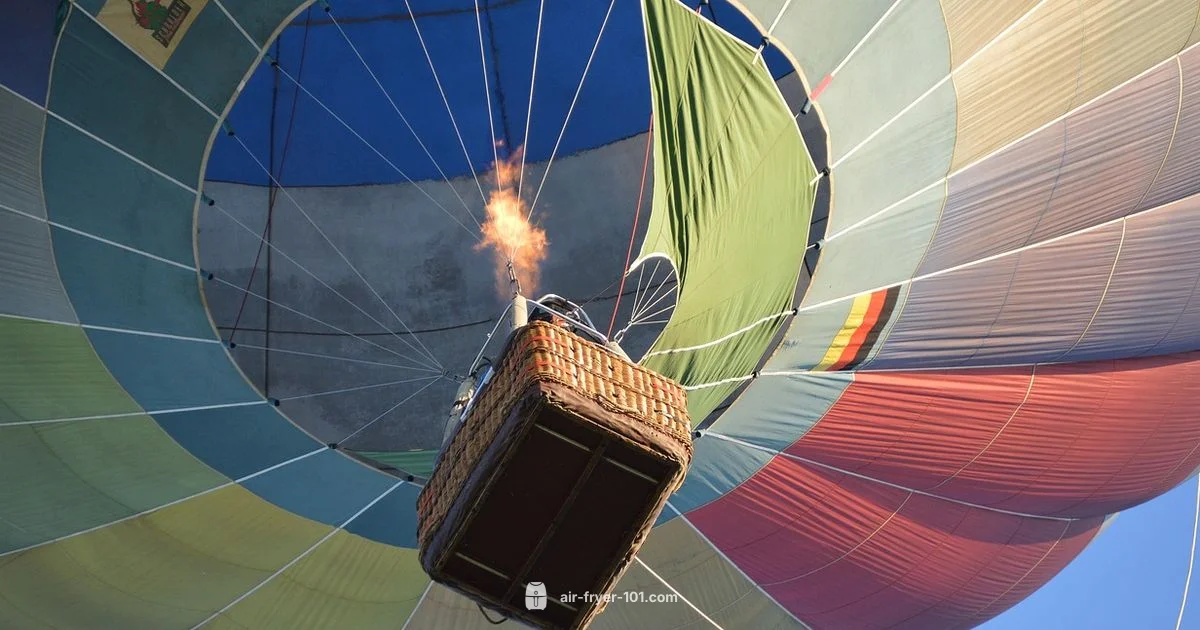 Coating Free - Air Fryer 101