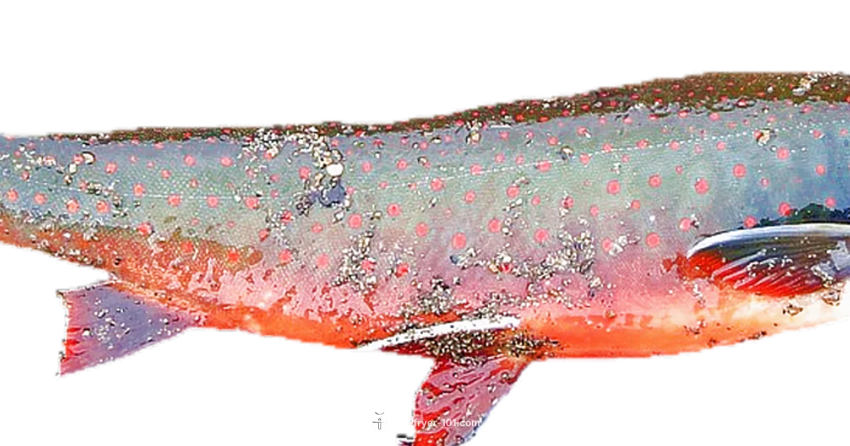 Frozen Salmon Air Fry - Air Fryer 101