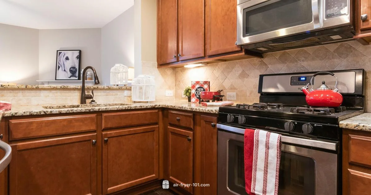 Air Fryer Usage Guide - Air Fryer 101