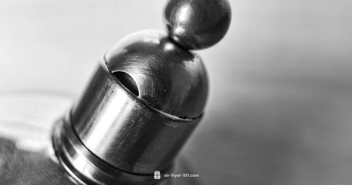 Fryer Basket Basics - Air Fryer 101