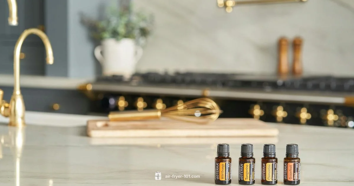 Air Fryer Check - Air Fryer 101