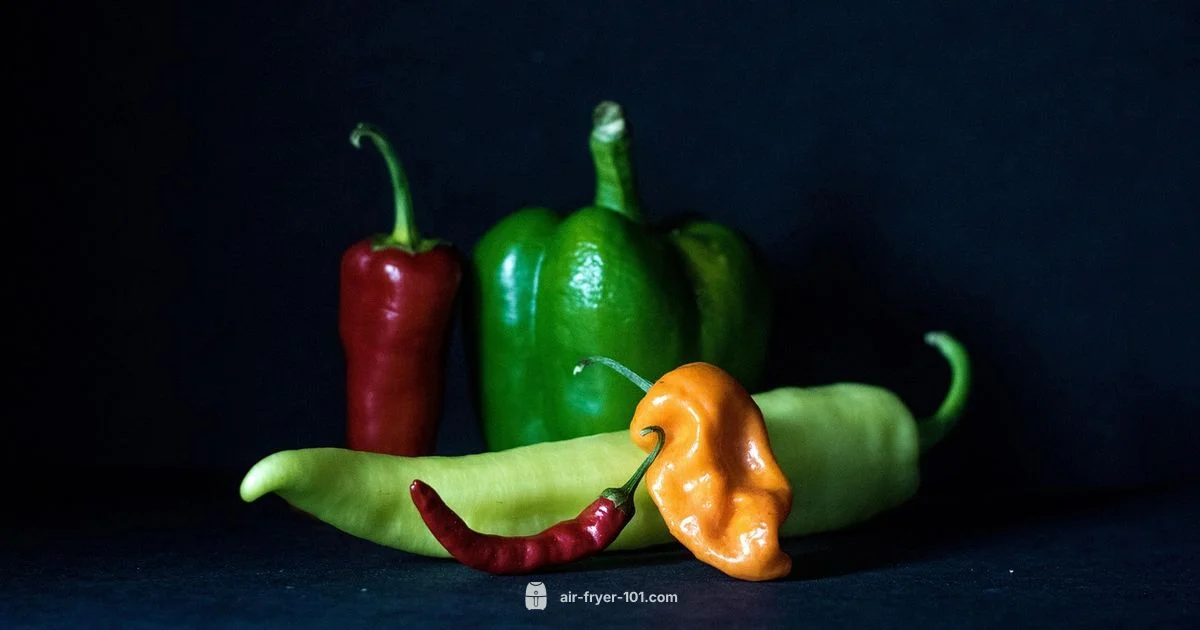 Ninja Health Grill Review - Air Fryer 101