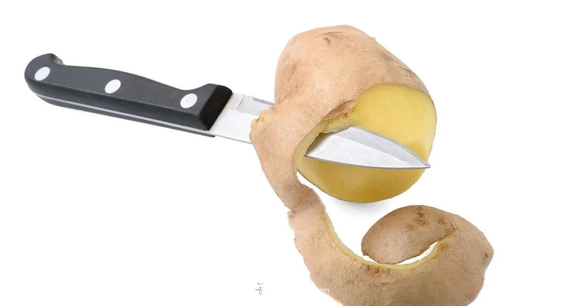 Air Fryer Foods Guide - Air Fryer 101