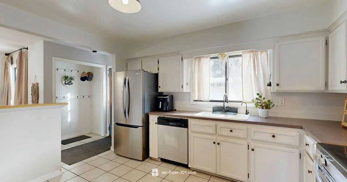 Air Fryer Health - Air Fryer 101