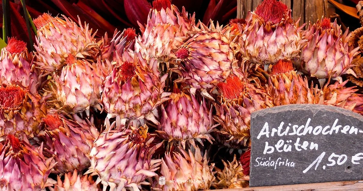 Clicks Price Guide - Air Fryer 101