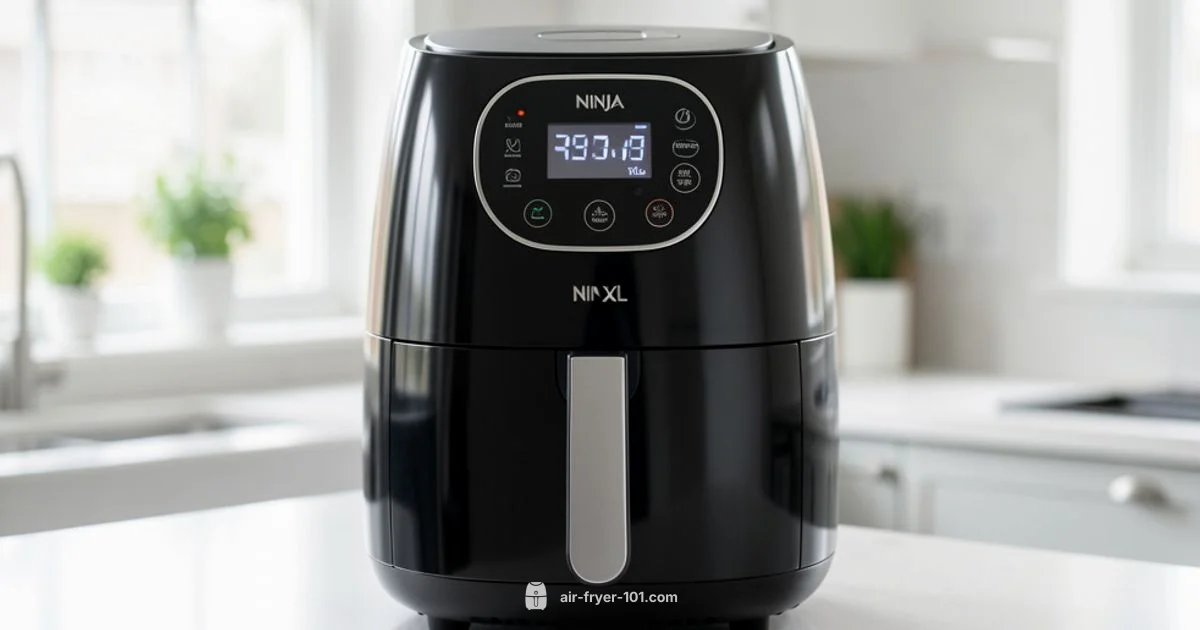 Ninja XL Review - Air Fryer 101