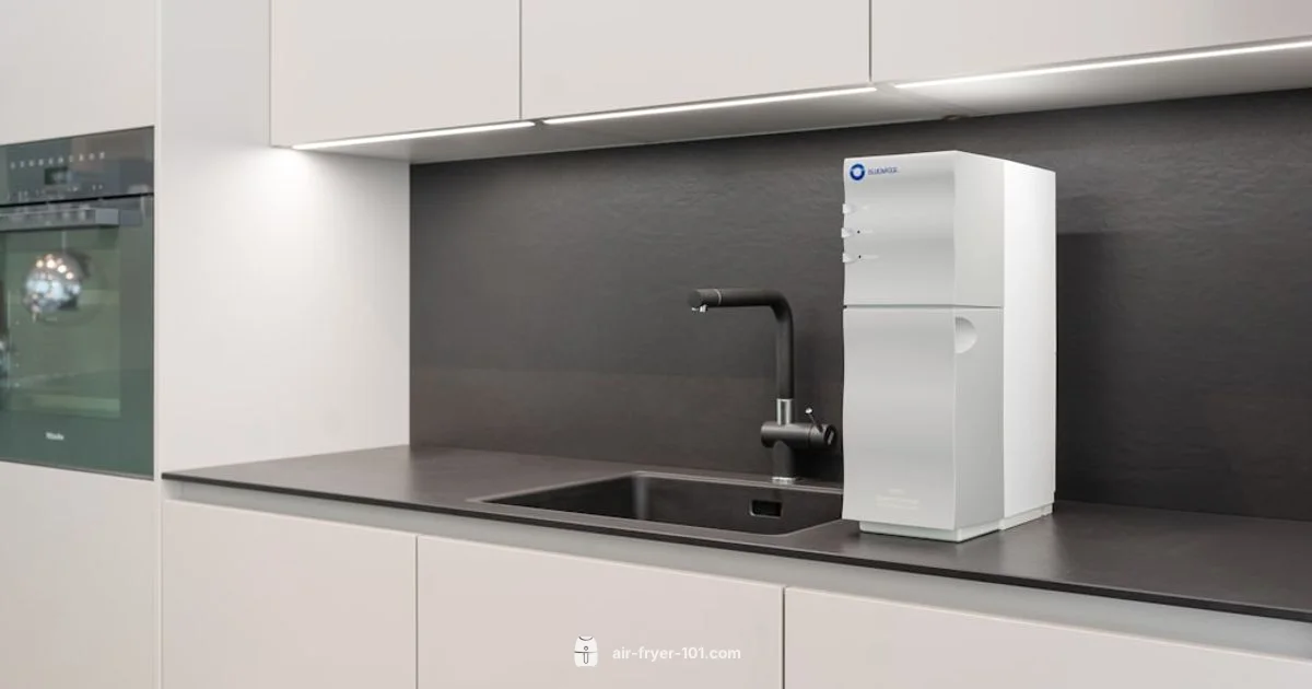 Safe Air Fryer Choice - Air Fryer 101