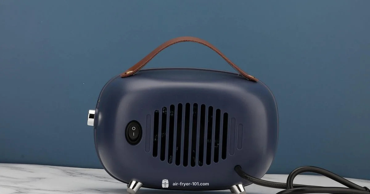 Convection Heating in Air Fryers - Air Fryer 101