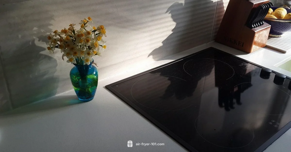 Dehydrator Alternatives - Air Fryer 101