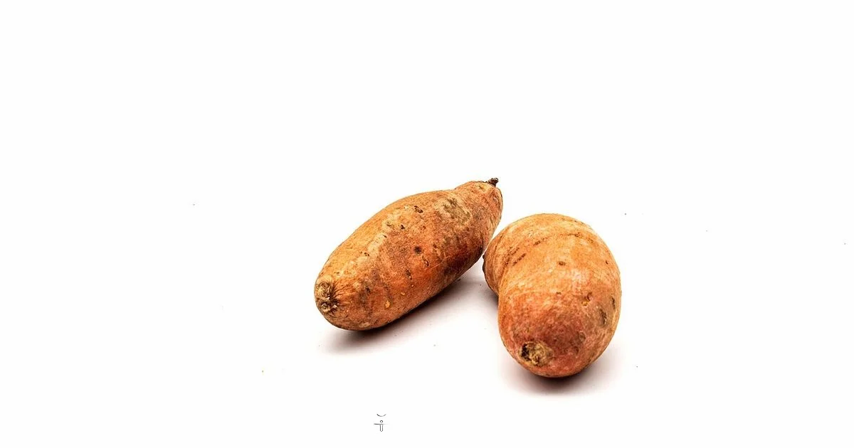 Crispy Air Fryer Fries - Air Fryer 101