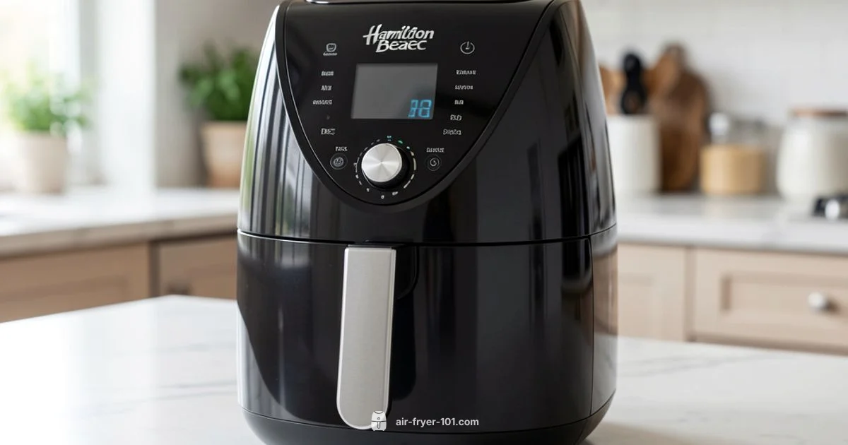 Hamilton Beach Air Fryer Guide - Air Fryer 101