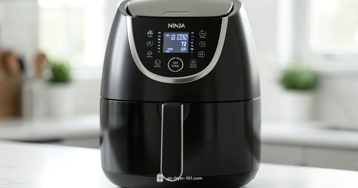 Dual Zone Cooking - Air Fryer 101