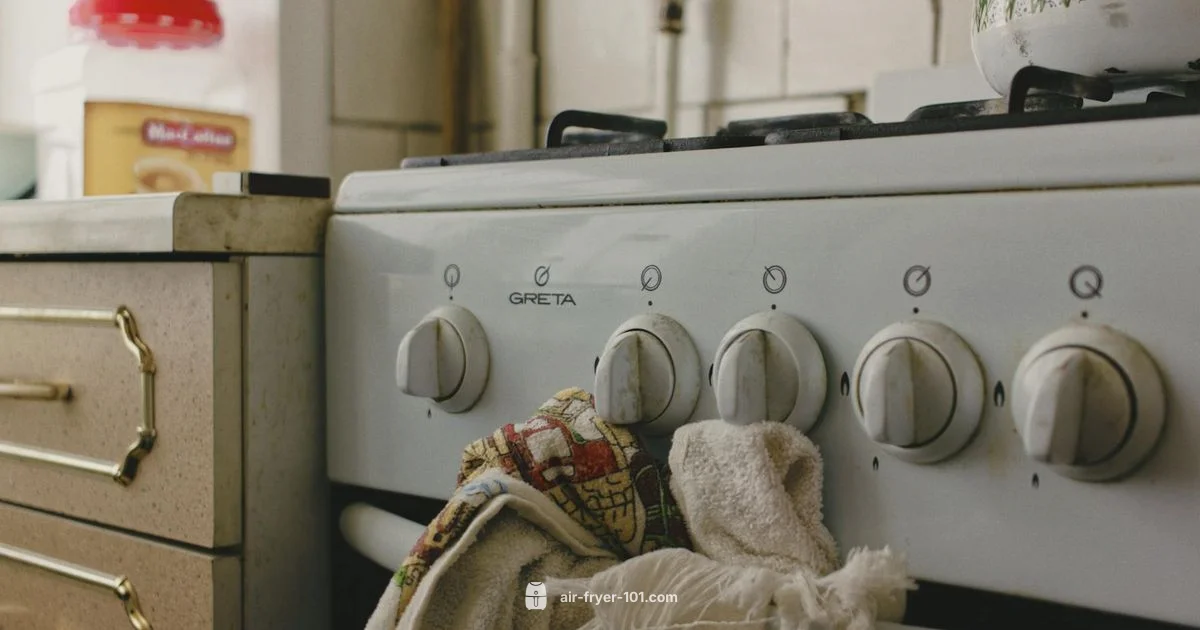 Budget Air Fryer Oven - Air Fryer 101