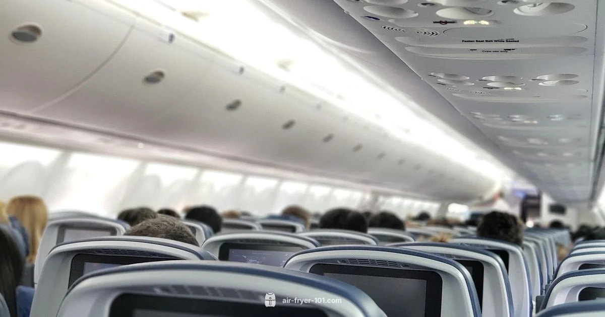 Air Fryer Travel - Air Fryer 101