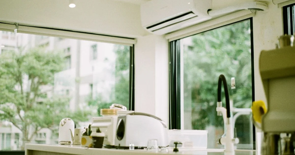 Air Fryer vs Convection - Air Fryer 101