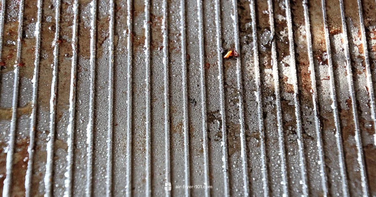 Basket-Only Guide - Air Fryer 101