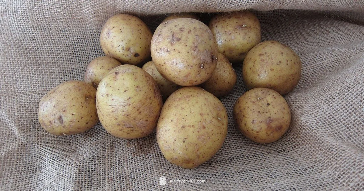 Crisp Air Fryer Fries - Air Fryer 101